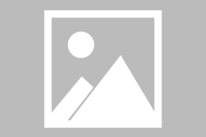 【早报】足球悬了？英超一周内新增40例新冠阳性病例